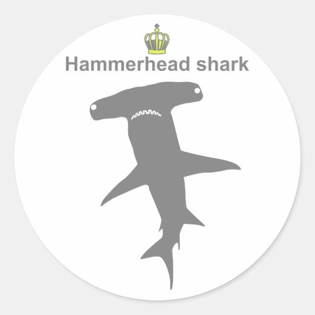 Sticker Rond Hammerhead shark g5 (Devant)