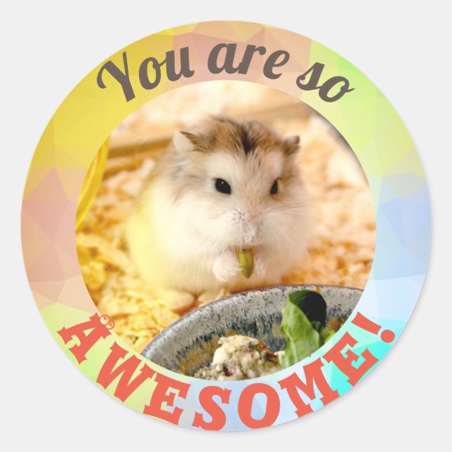 Sticker Rond HammyVille - Joli Hamster Vous êtes tellement géni (Devant)