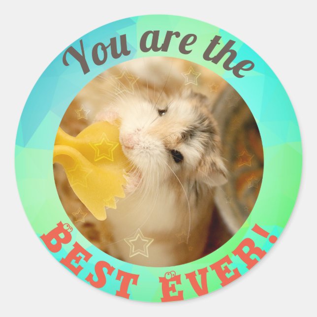Sticker Rond HammyVille - Joli Hamster Vous êtes tellement géni (Devant)