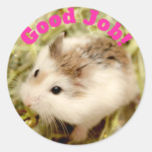 Sticker Rond Hammyville - le bon travail de hamster mignon