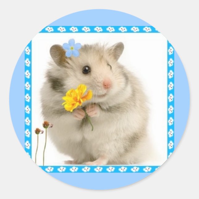 Sticker Rond hamster (Devant)