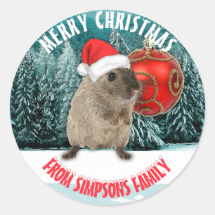 Sticker Rond Hamster Funny De Noël En Santa Rouge Chapeau Ton