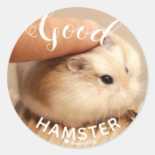 Sticker Rond Hamter mignon étant un bon hamster