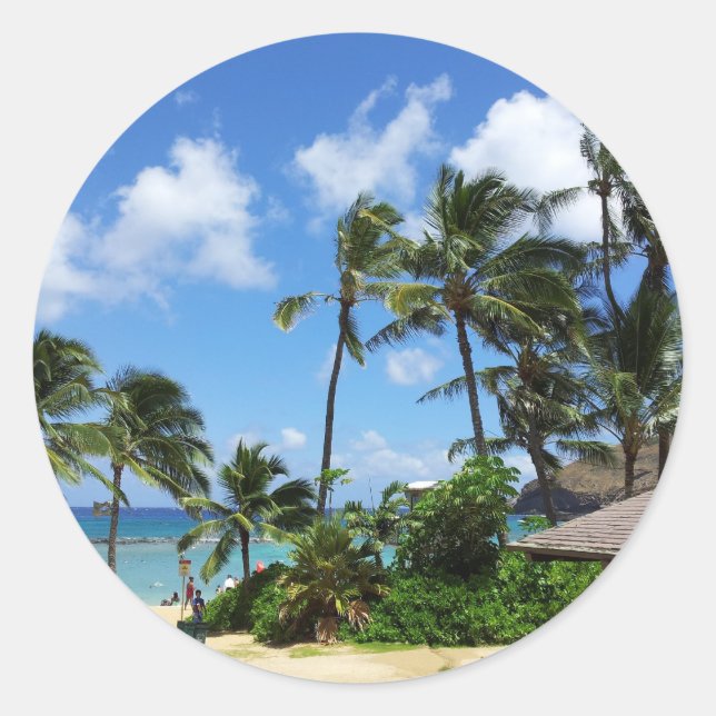 Sticker Rond Hanauma Bay Hawaii Cocotiers (Devant)