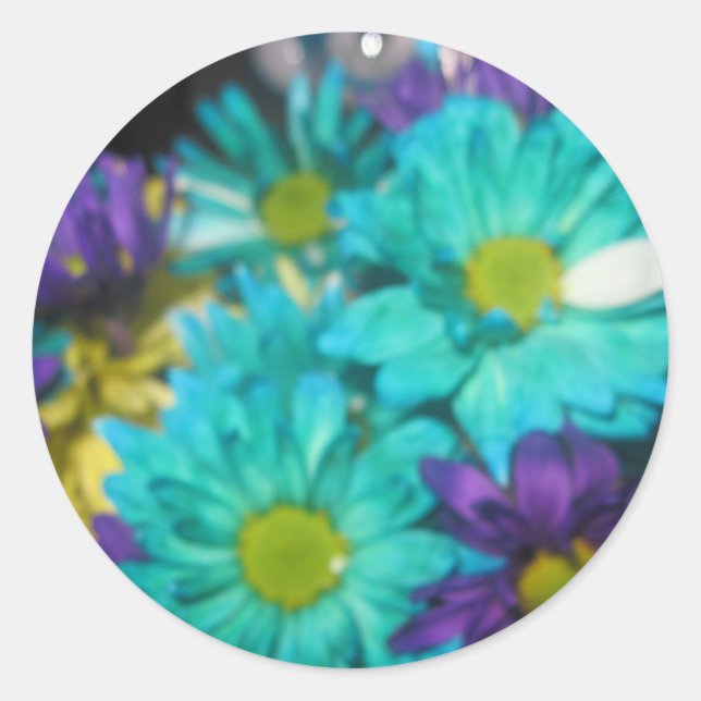Sticker Rond Harmonie (Devant)