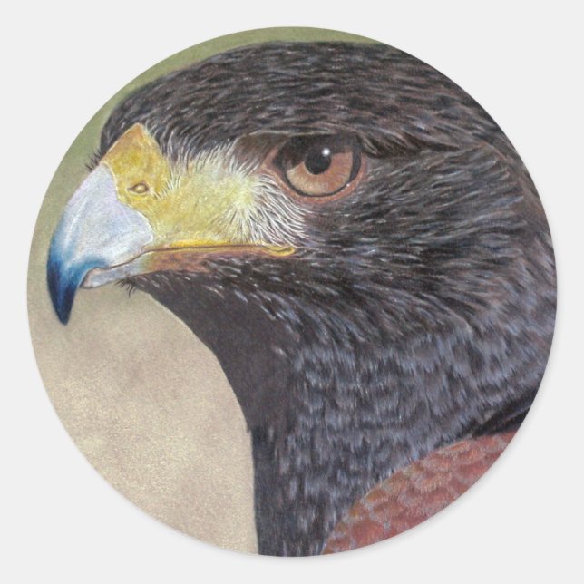 Sticker Rond Harris Hawk-cp (Devant)
