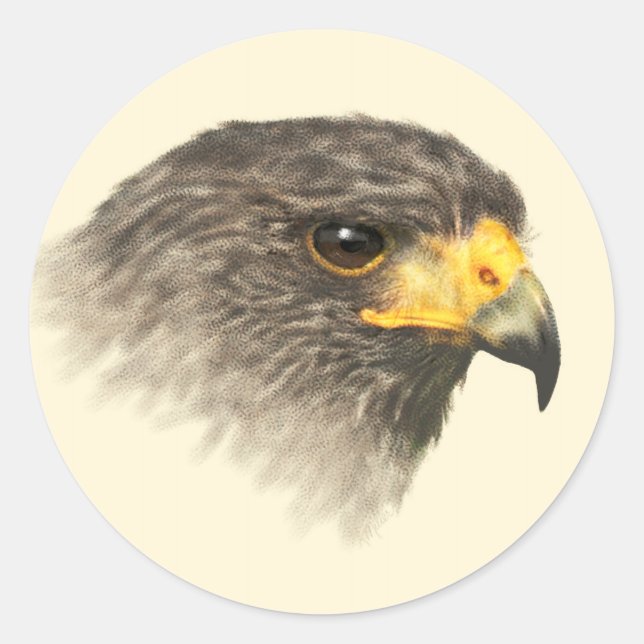 Sticker Rond Harris Hawk - Mélange Moyen (Devant)