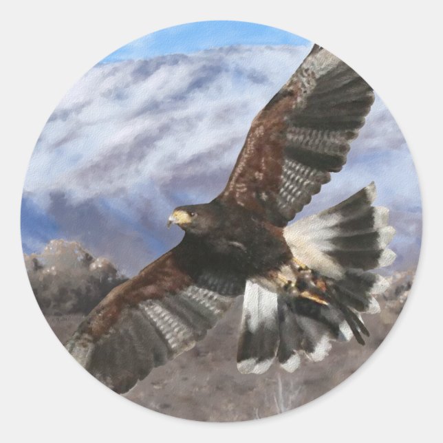 Sticker Rond Harris Hawk - pastel (Devant)