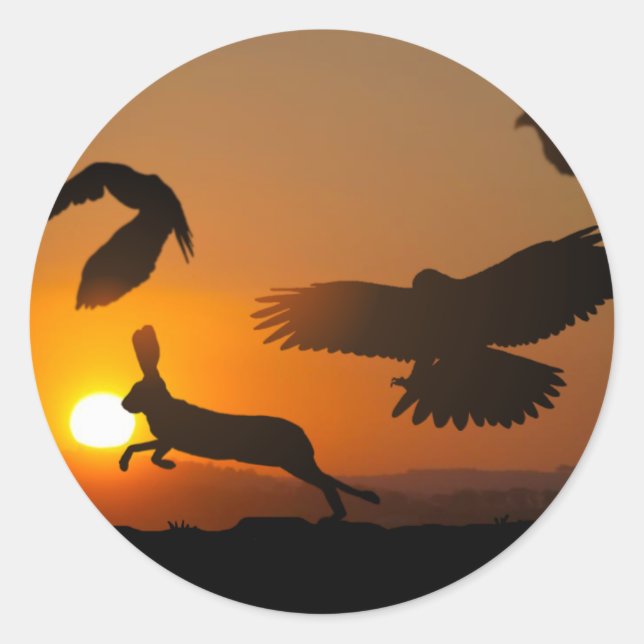 Sticker Rond Harris Hawks (Devant)