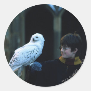 Sticker Rond Harry et Hedwig 2