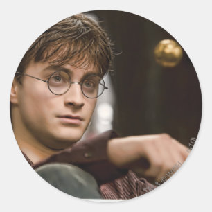Sticker Rond Harry Potter 17