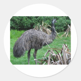 Sticker Rond Harvey