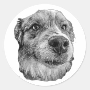 Sticker Rond Haut et loyal