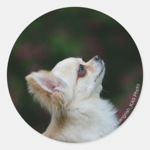 Sticker Rond Headshot aux cheveux longs 2 de chiwawa