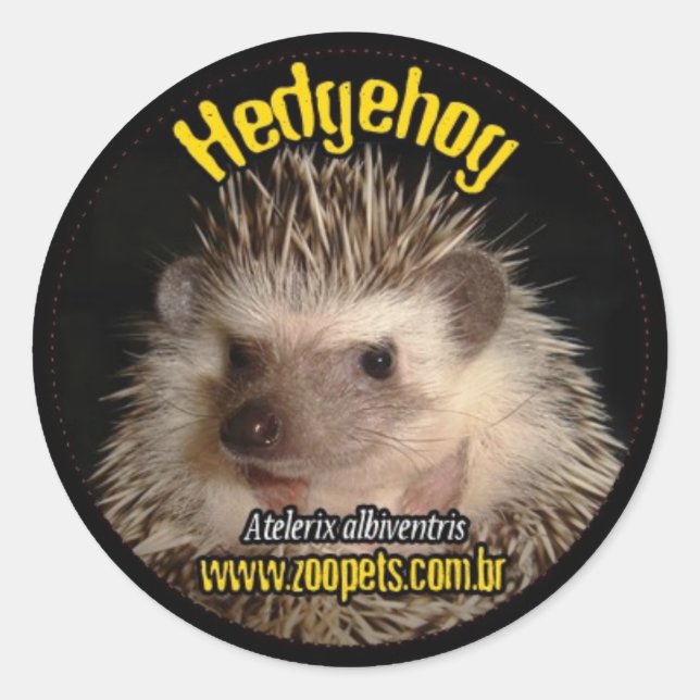 Sticker Rond hedgehog (Devant)