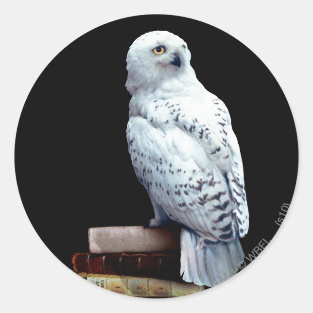 Sticker Rond Hedwig sur les livres (Devant)