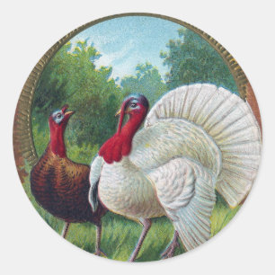 Sticker Rond Hen et Tom Turquie Thanksgiving Vintage