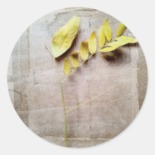 Sticker Rond Herbarium V