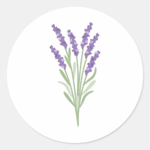 Sticker Rond Herbe de lavande