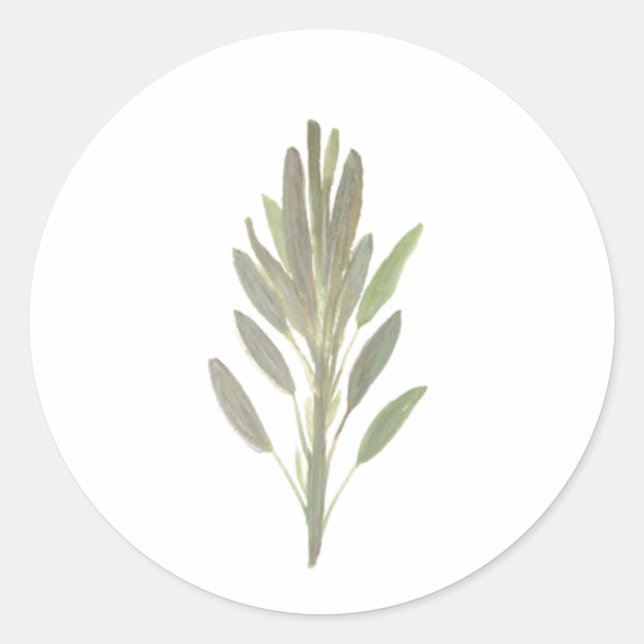 Sticker Rond Herbe de Sage plante végétale (Devant)