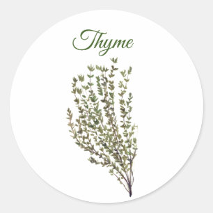 Sticker Rond Herbe de thym vert cuisine Cuisine culinaire Plant