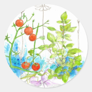 Sticker Rond Herbe de tomate Jardin Légumes Aquarelle