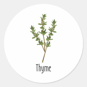 Sticker Rond Herbe d'épices de thym