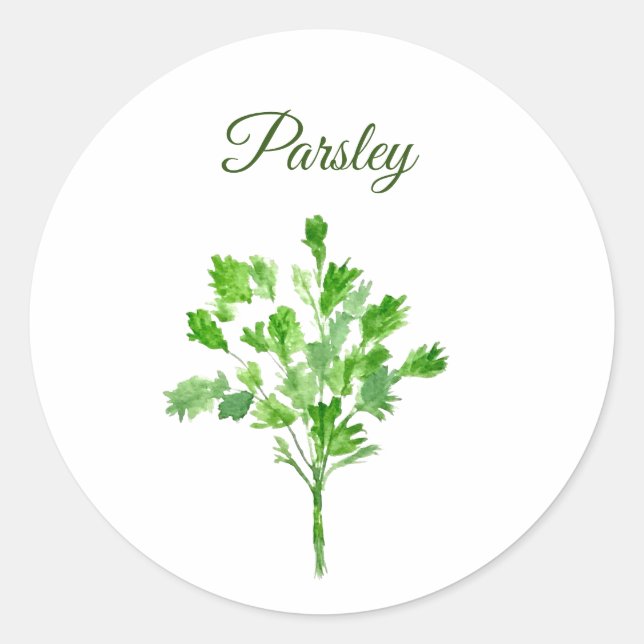 Sticker Rond Herbes de persil Aquarelle Cuisine culinaire vert (Devant)