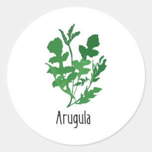 Sticker Rond Herbes d'épices Arugula