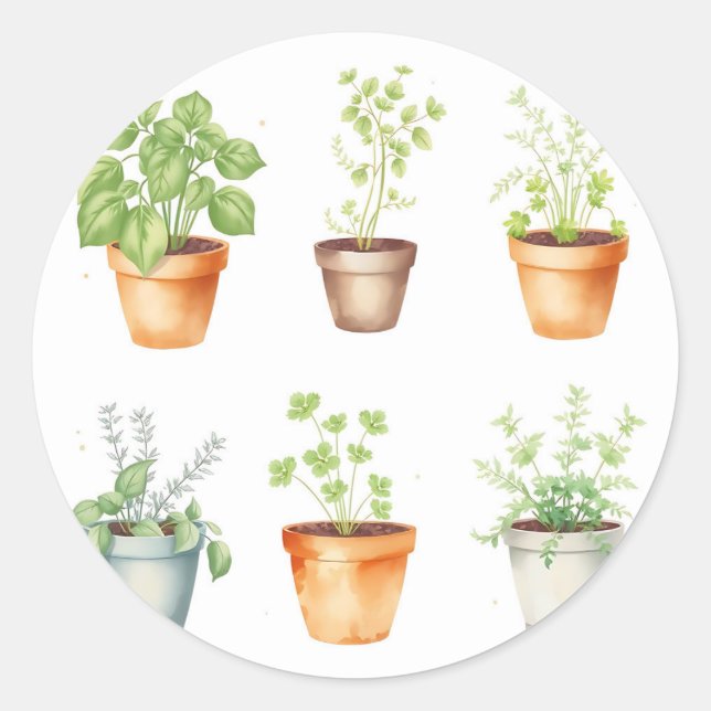 Sticker Rond Herbes en pot à l'aquarelle sur fond crème (Devant)