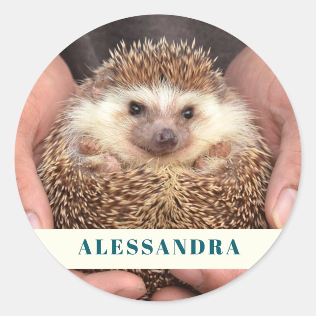 Sticker Rond Hérisson dans les mains (Devant)