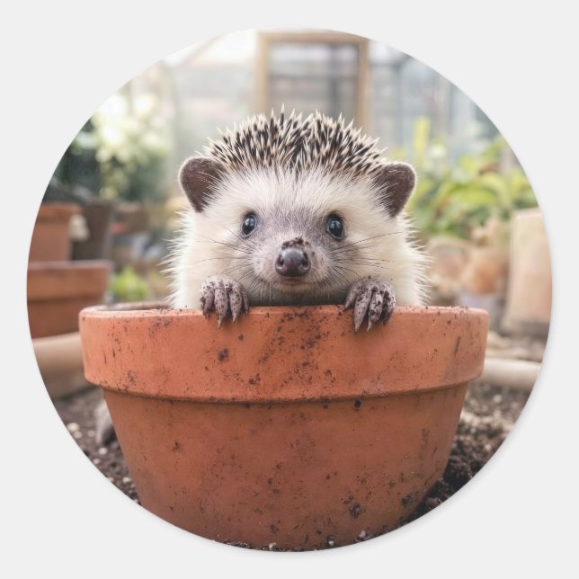 Sticker Rond Hérisson dans un pot de fleurs en argile (Devant)