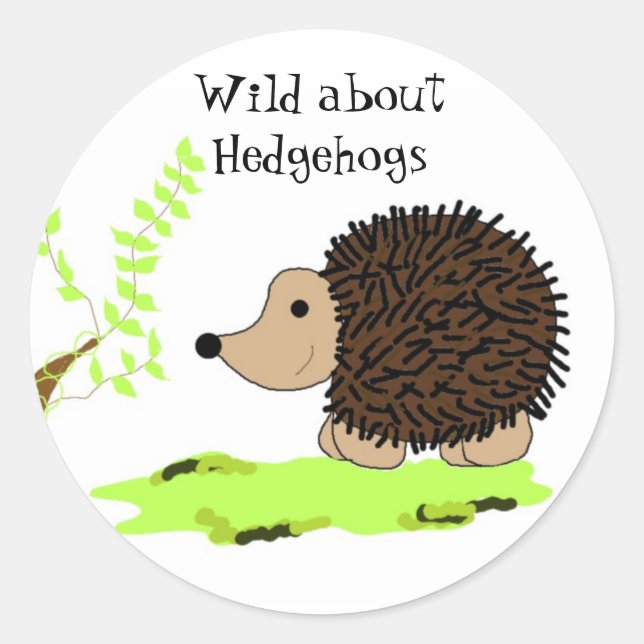 Sticker Rond Hérisson de dessin animé (Devant)