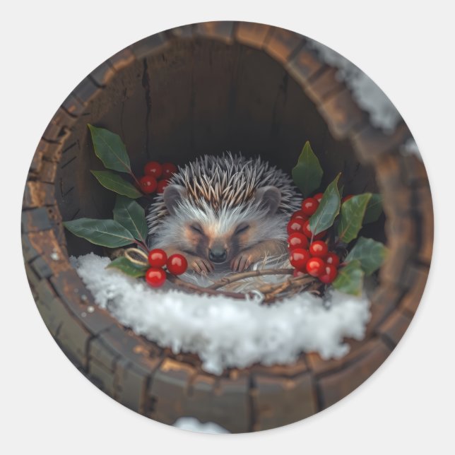 Sticker Rond Hérisson dormant Noël amusant (Devant)