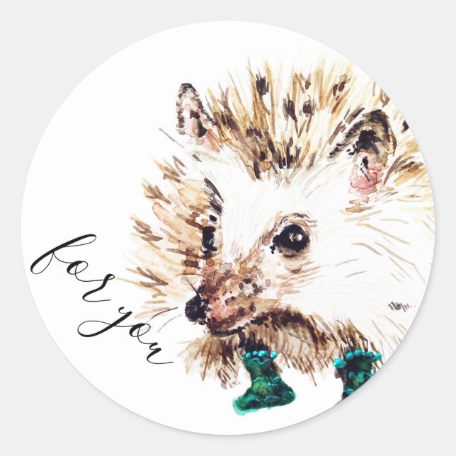 Sticker Rond Hérisson en chaussettes  (Devant)