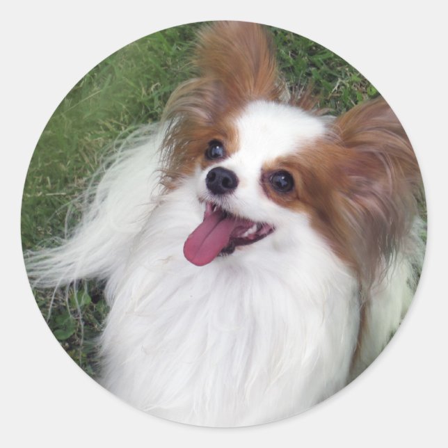 Sticker Rond Hershey Kiss Hero Madi Merchandises (Devant)