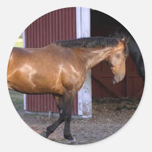 Sticker Rond Heure d'alimentation (Devant)