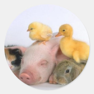 Sticker Rond Heure de la sieste pour les animaux