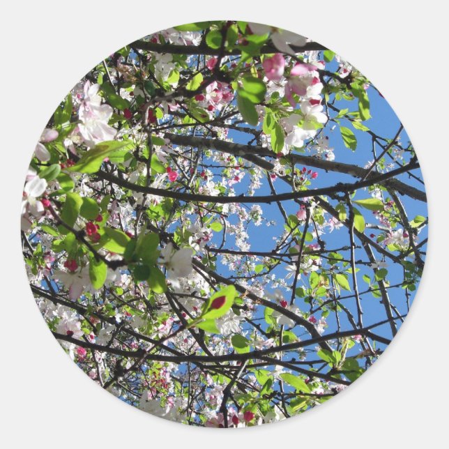Sticker Rond Heure du printemps (Devant)