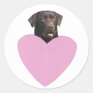 Sticker Rond Heureuse Sainte-Valentin Labrador Retriever
