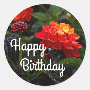 Sticker Rond Heureux Anniversaire Orange Red Trailing Lantana #