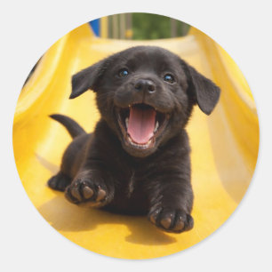 Sticker Rond Heureux chiot Labrador noir glisse sur un toboggan
