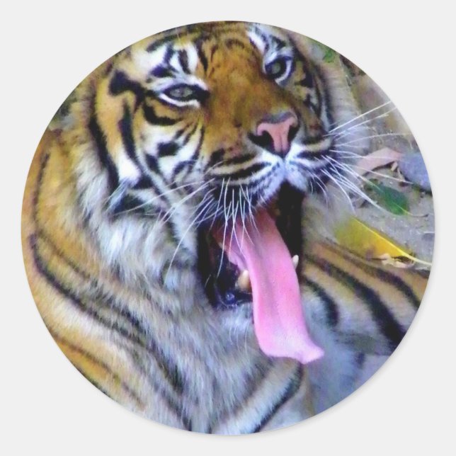 Sticker Rond Hey_ (Devant)