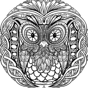 Cadeaux Dessin Noir Et Blanc De Hibou Zazzle Fr