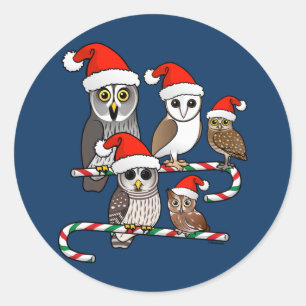 Sticker Rond Hiboux de Père Noël