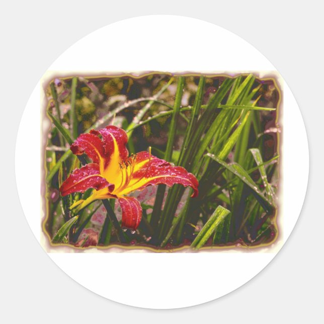 Sticker Rond Hier Lily Après La Pluie (Devant)