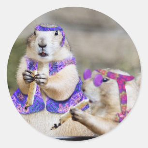 Sticker Rond Hippies Fumeurs du Prairie Dog