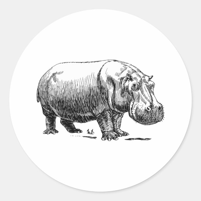 Sticker Rond Hippopotame (Devant)