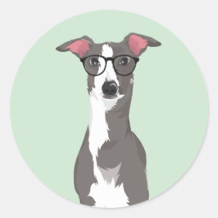Sticker Rond Hipster italien Greyhound Dog pour Amoureux de les
