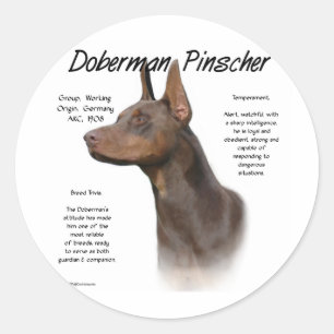 Sticker Rond Histoire de Red Doberman
